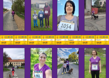 Středisko běželo pro Kuře