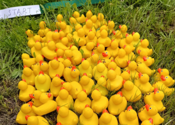 Žluté kačky netrpělivě čekají na start svého závodu