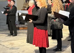 autor Jindřiška Vinická